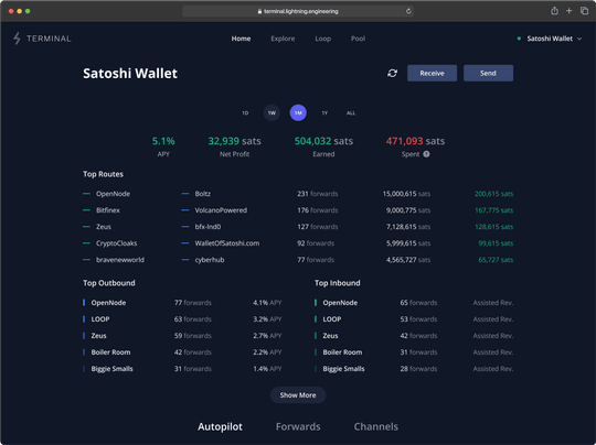 Lightning terminal screenshot